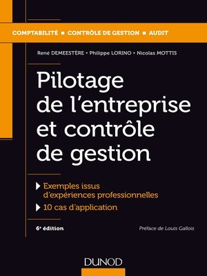 cover image of Pilotage de l'entreprise et contrôle de gestion--6e éd.